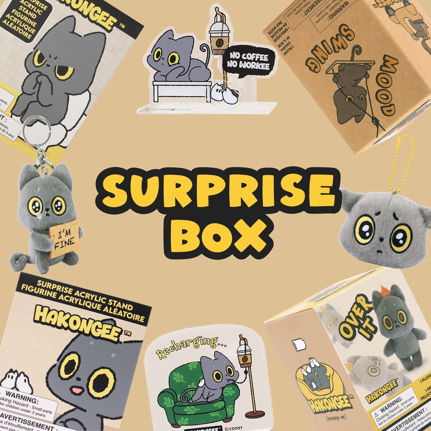 Surprise Box